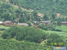 新立村[雲南昭通市昭陽區灑漁鄉下轄村]