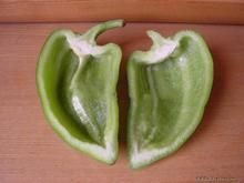 辣椒僵果病 辣椒僵果病