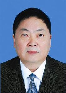 張宇平[重慶市綦江區人大常委會副主任、黨組成員]