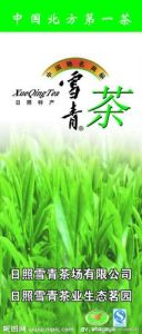 雪青茶 雪青茶