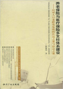 養老保險與醫療保險多支柱體系建設 養老保險與醫療保險多支柱體系建設