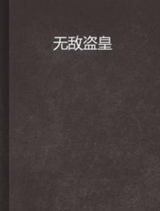 無敵盜皇 無敵盜皇