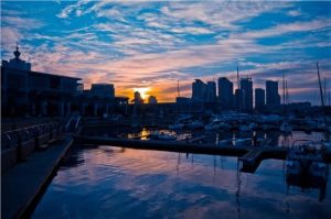 山東青島港 山東青島港