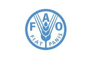 聯合國糧食及農業組織