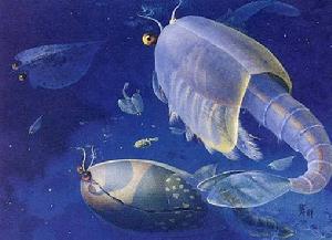 浮游雙瓣殼節肢動物