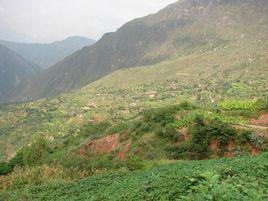 龍井村[雲南彌渡縣彌城鎮下轄村]