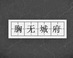 胸無城府 胸無城府