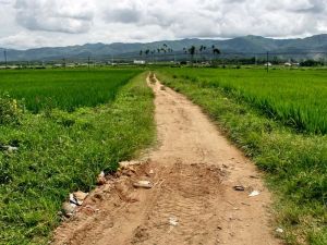 曼廣掌村 曼廣掌村