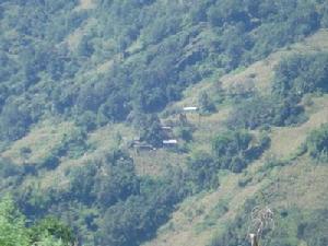 付慶迪岸村 付慶迪岸村