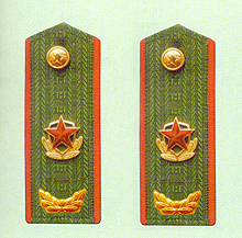 武警文職幹部肩章