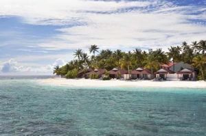 馬爾地夫泰達芙士島度假村 馬爾地夫泰達芙士島度假村