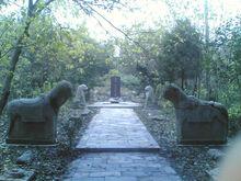 元和街道[蘇州市相城區元和街道]