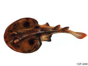 生物發電 生物發電