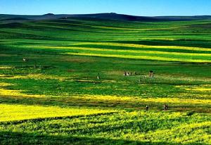 輝騰錫勒草原明珠接待中心