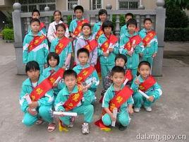 雛鷹爭章活動 雛鷹爭章活動