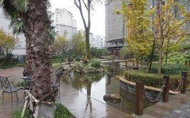 澗橋泊林 澗橋泊林