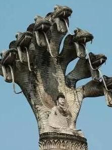 那迦[佛教天龍八部中的龍眾]