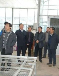 離石區科學技術協會