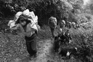 異語反覆 異語反覆