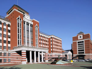 廣島國際大學 廣島國際大學