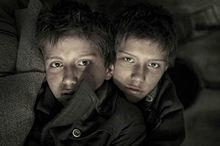 惡童日記[2013年匈牙利電影]