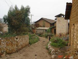 戈維村委會 戈維村委會