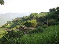 坪子地自然村 坪子地自然村