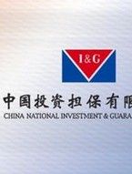 中國投資擔保有限公司 中國投資擔保有限公司