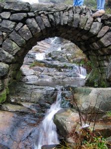 栲栳埠山 栲栳埠山