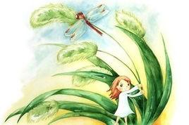 草的故事 草的故事