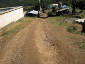 大萋坪村 大萋坪村