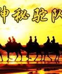 《神秘駝隊》 《神秘駝隊》