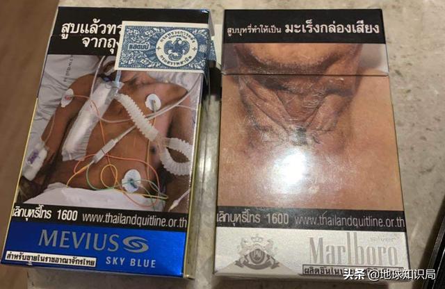 救命啊!國外的煙盒太可怕了,我想戒菸 | 地球知識局