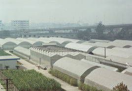 浙江省農業科學院蔬菜研究所 浙江省農業科學院蔬菜研究所