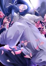 assassin[《Fate》系列中的用語]