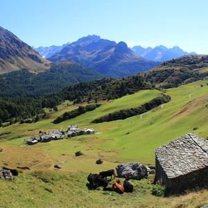 大分水嶺 大分水嶺