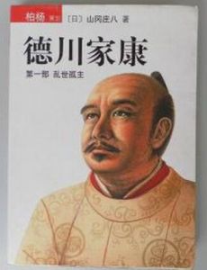 德川家康亂世孤主 德川家康亂世孤主