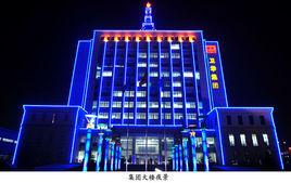 河南衛華重型機械股份有限公司 河南衛華重型機械股份有限公司