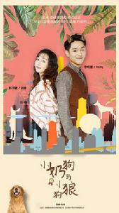 小奶狗,小狼狗 小奶狗,小狼狗