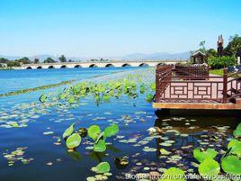 曉月郊野公園 曉月郊野公園
