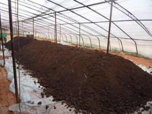 有機生態型無土栽培 有機生態型無土栽培