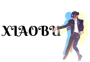 魏超臣（曉布）