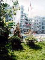 合肥實驗學校 合肥實驗學校