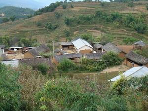 南信村委會 南信村委會