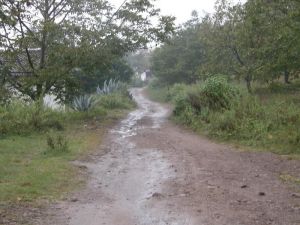 朱苦拉和尚田村