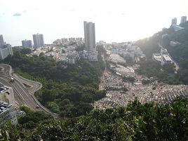 薄扶林道 薄扶林道