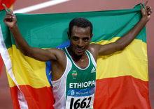 克內尼薩&middot;貝耶查