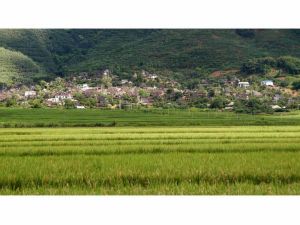 賀南東新寨村 賀南東新寨村