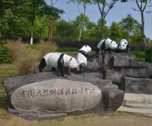 中國保護大熊貓研究中心