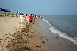 山東萬家鎮 山東萬家鎮